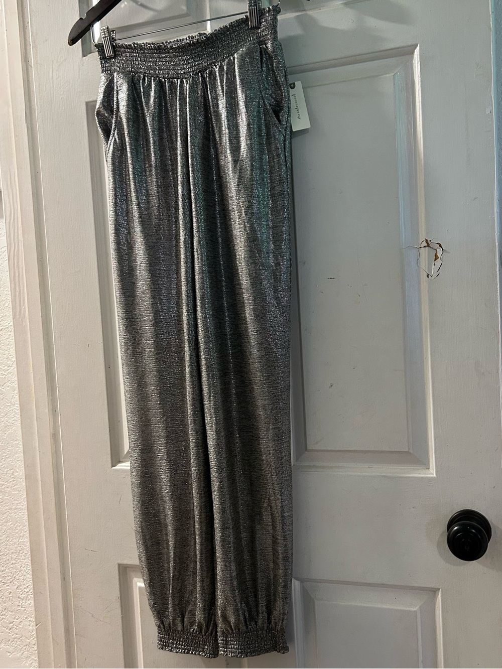 Anthropologie Metallic Silver Elastic Waist Jogger Pants